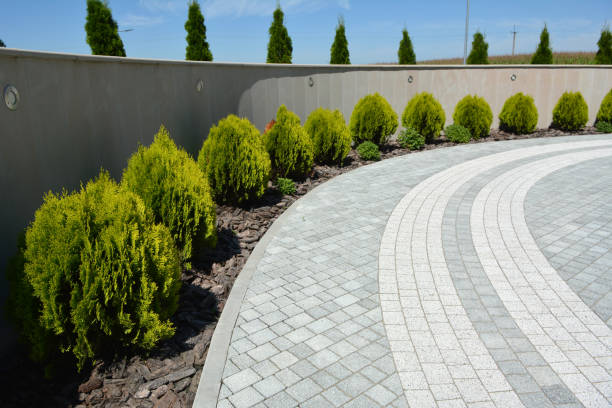 Best Decorative Driveway Pavers  in Lower Lake, CA