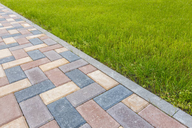 Best Affordable Driveway Paving  in Lower Lake, CA